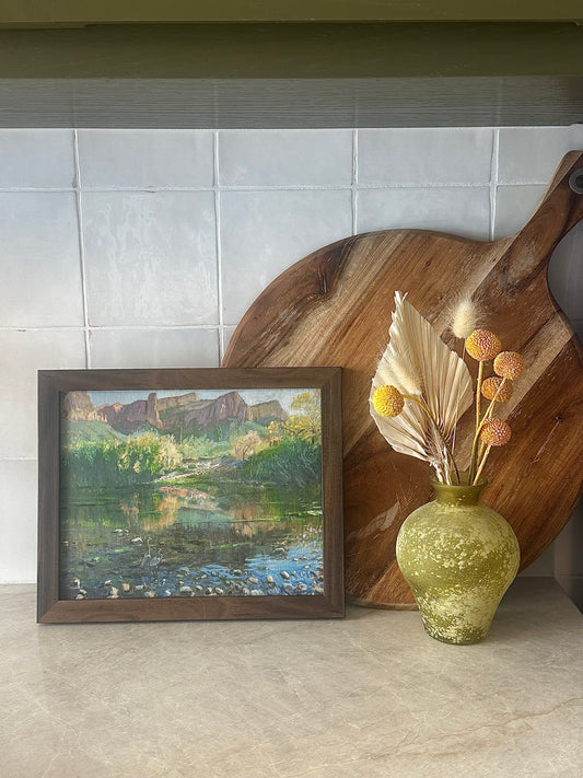 Two Herons on the Salt River Framed Print