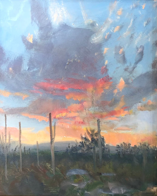 Sonoran Sunset