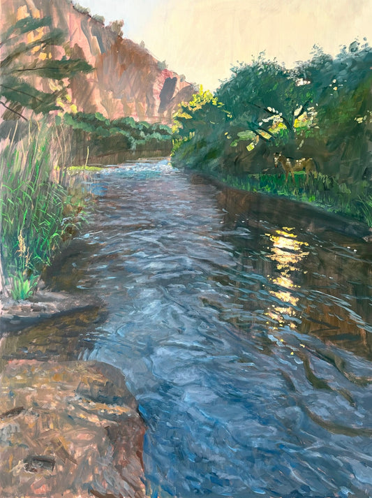 Light on the River
