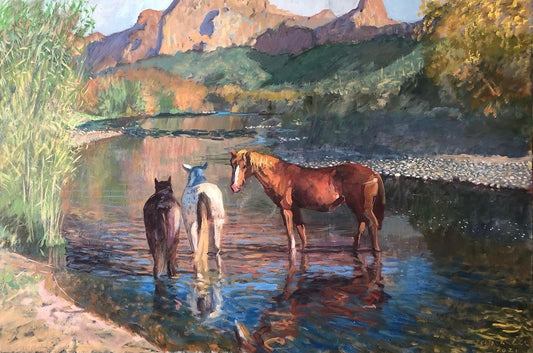 Wild Horse Family on The Salt River