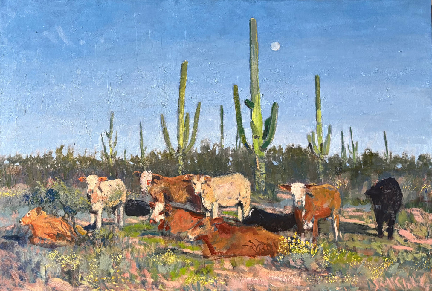 Sonoran Moonrise With Cattle Original Painting