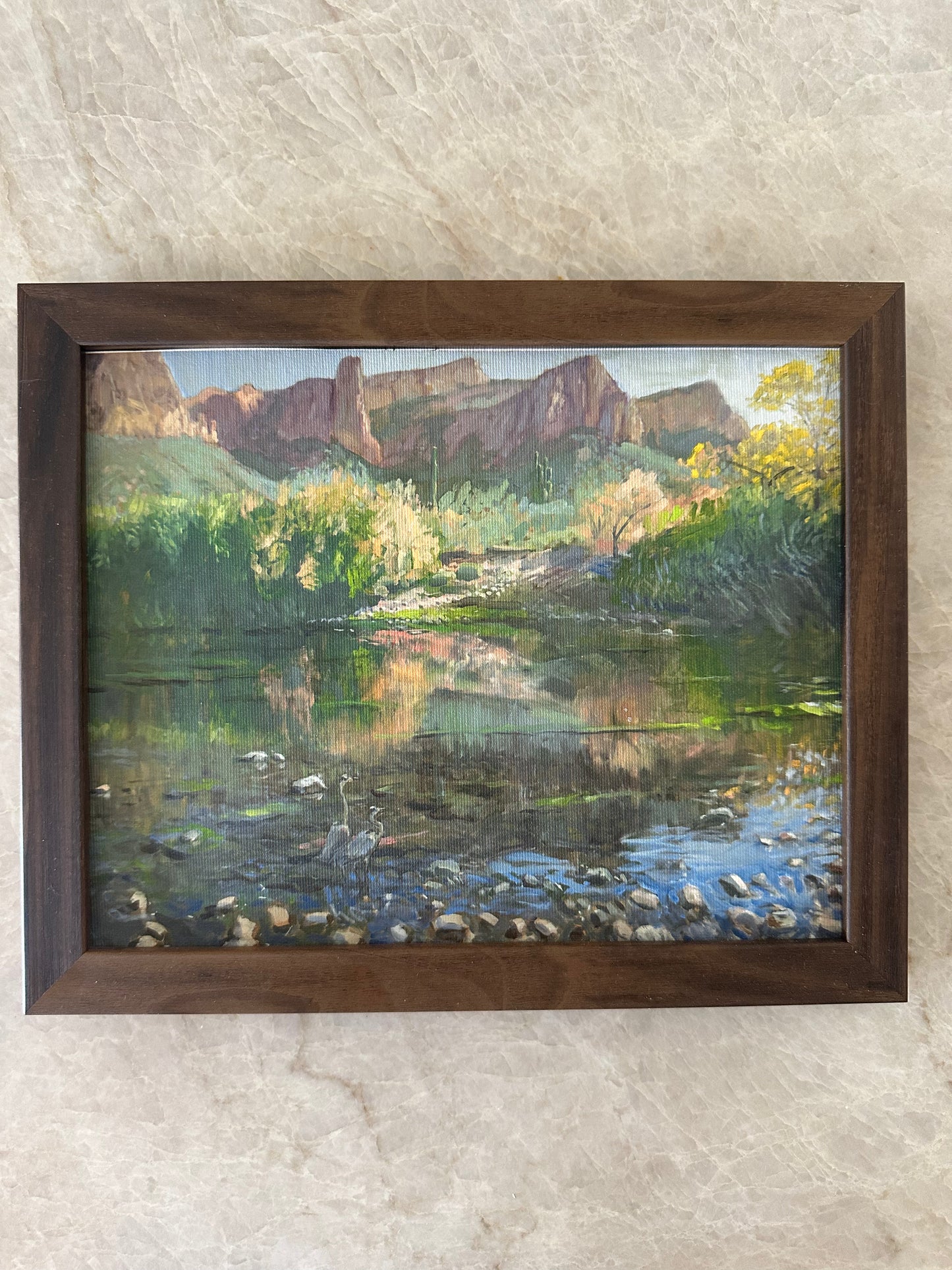 Two Herons on the Salt River Framed Print