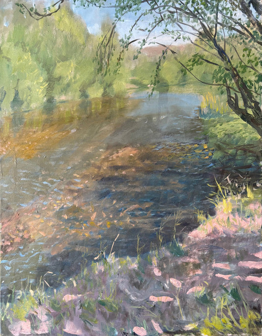 Shadows on the Salt River