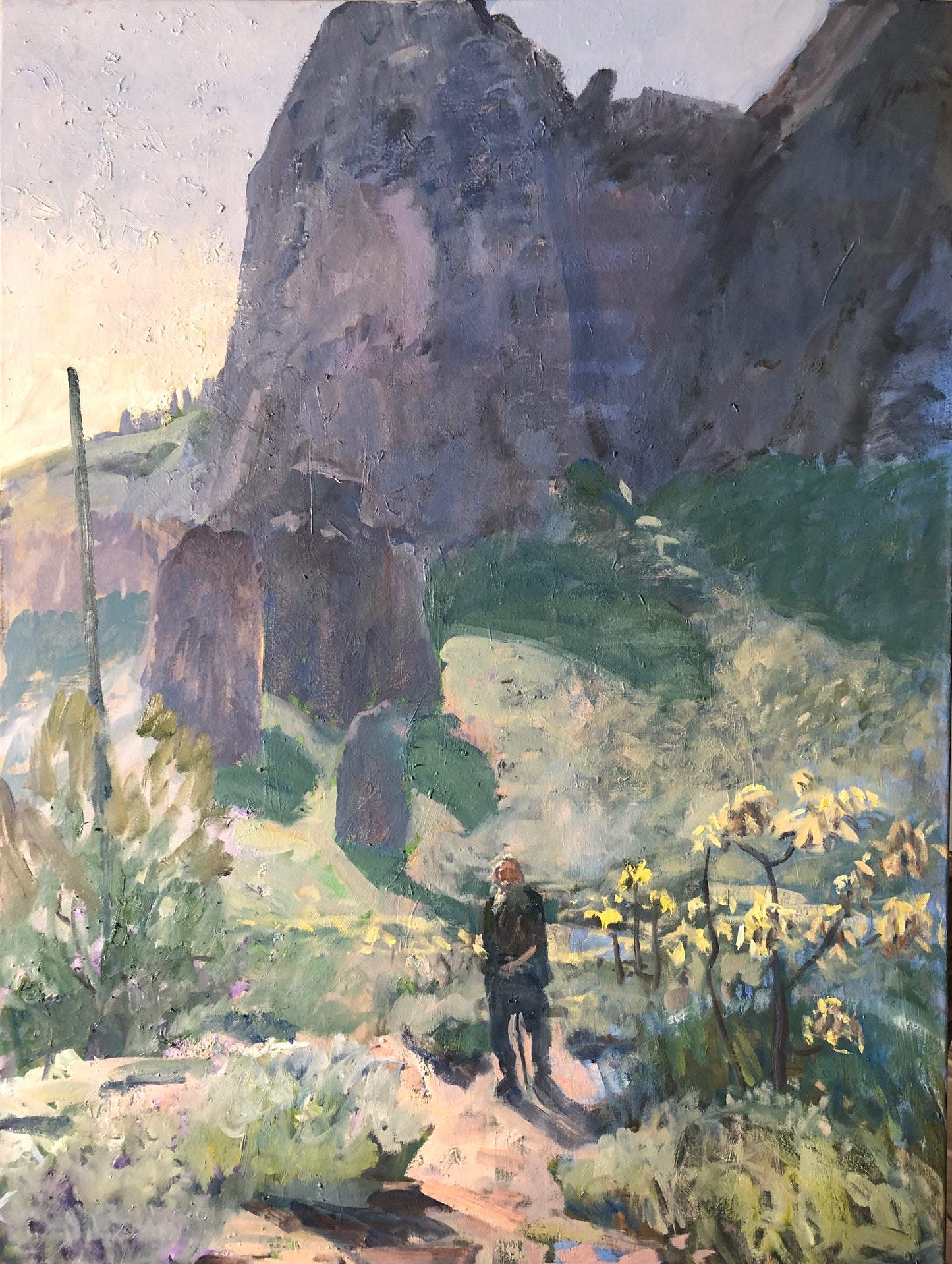 Spires of the Superstitions with a Hermit