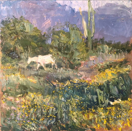 Wild Horse Spring
