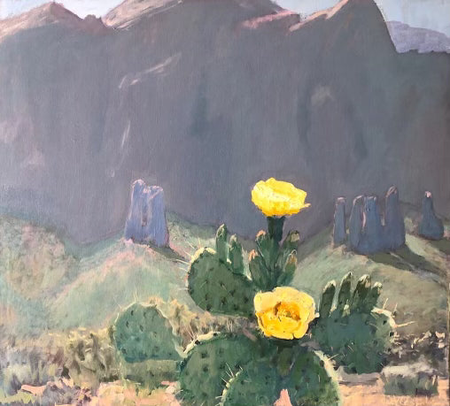 Prickly Pear Flowers