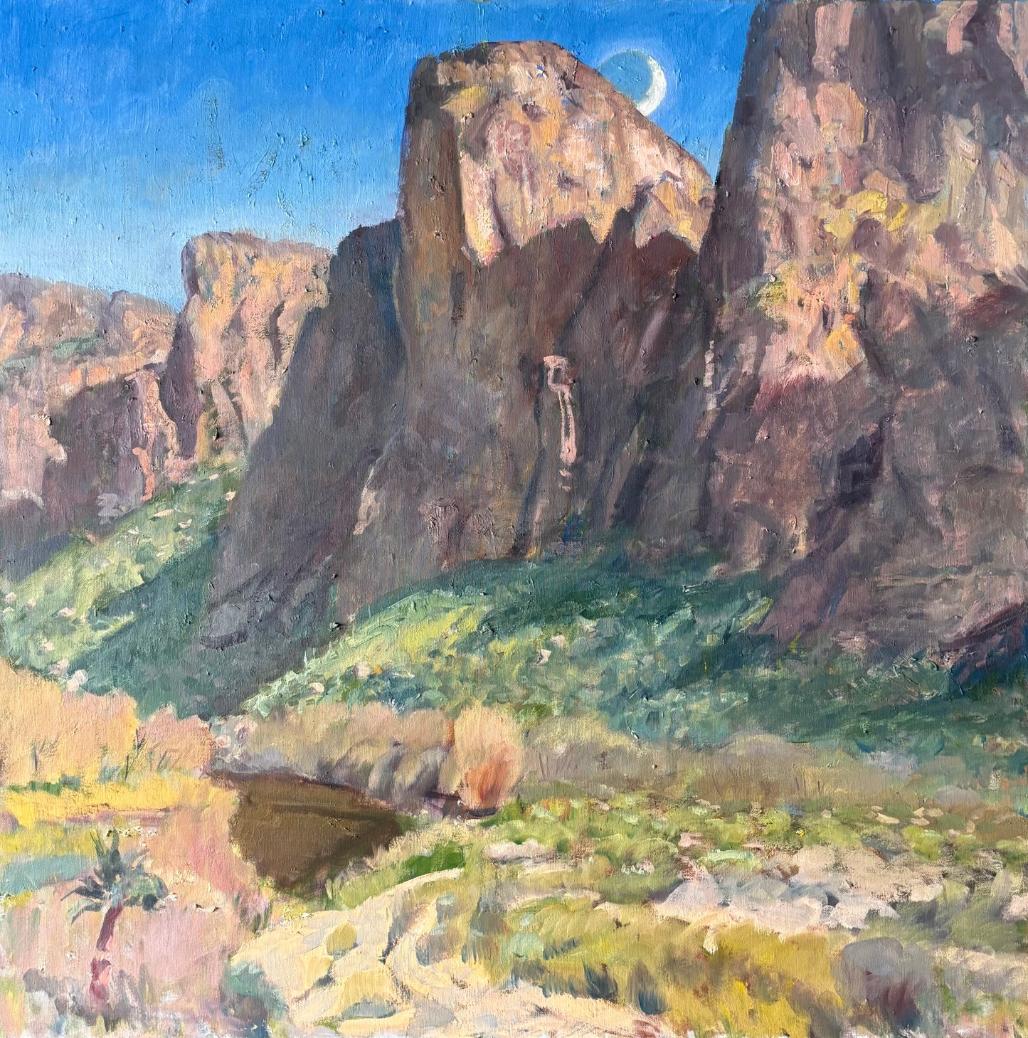 The Bulldog Cliffs Paper Print