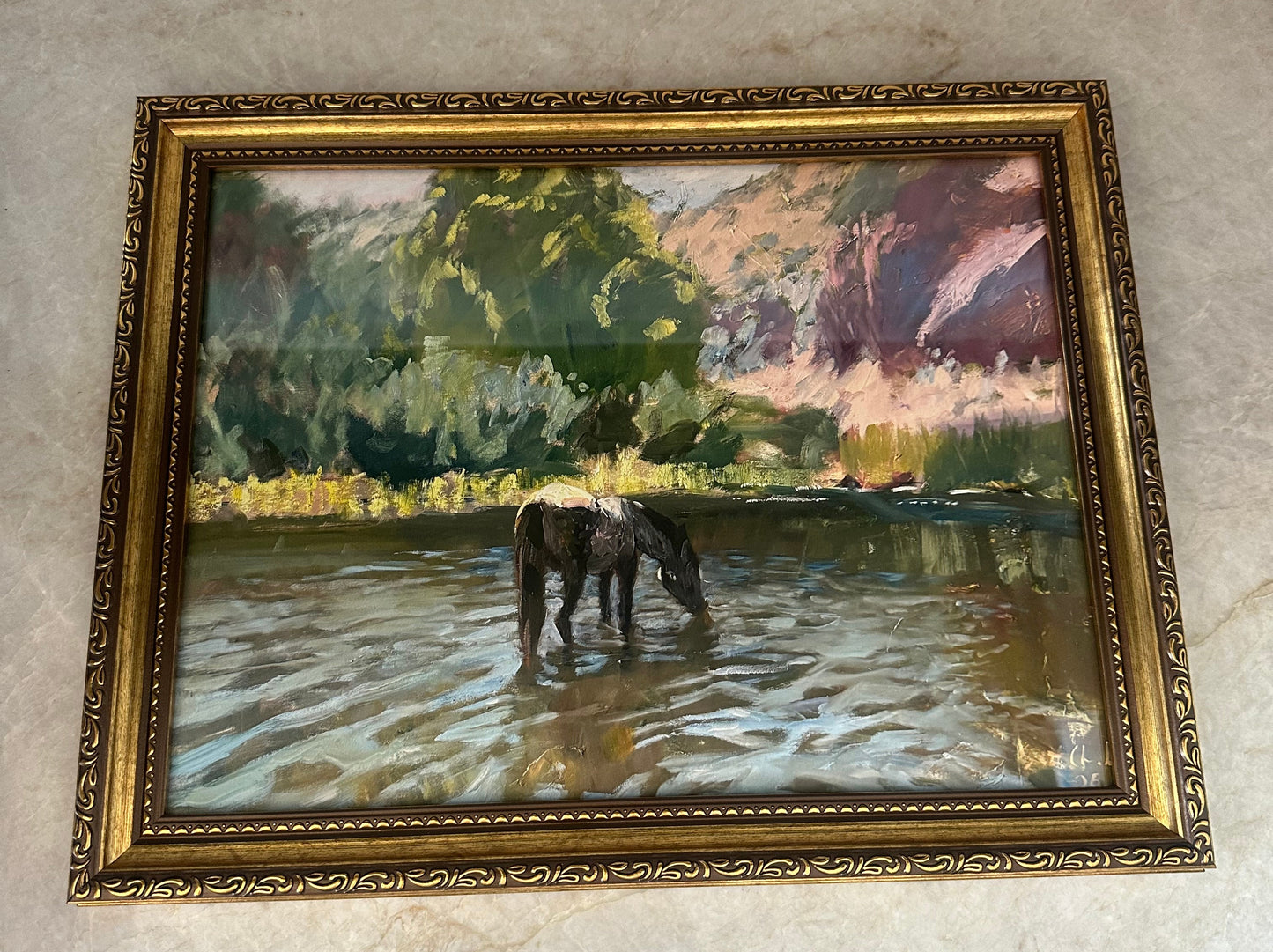 The Blue Roan Framed Print