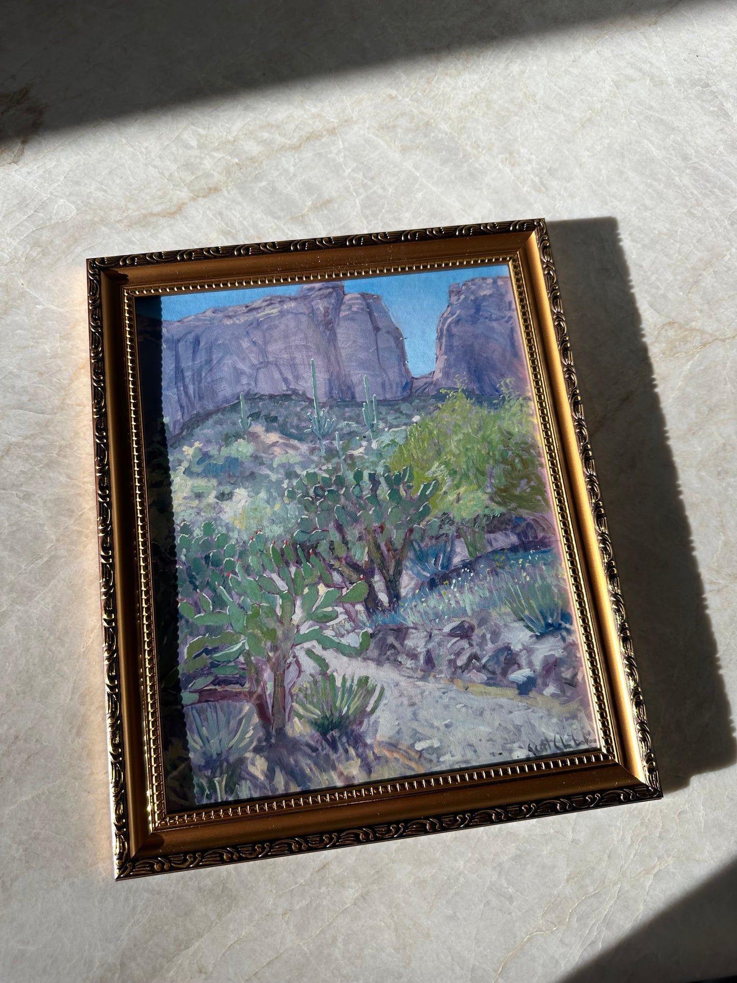 Desert Plants Framed Print