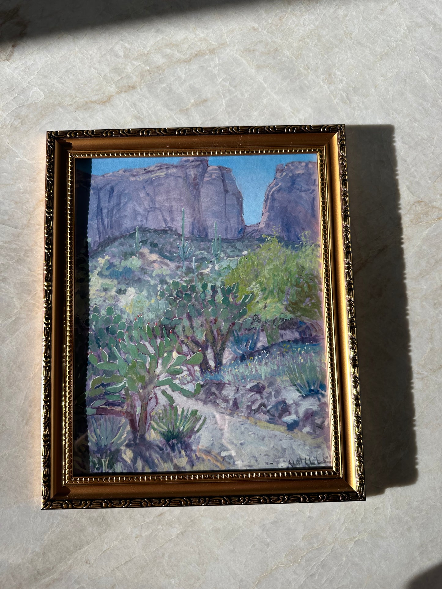 Desert Plants Framed Print
