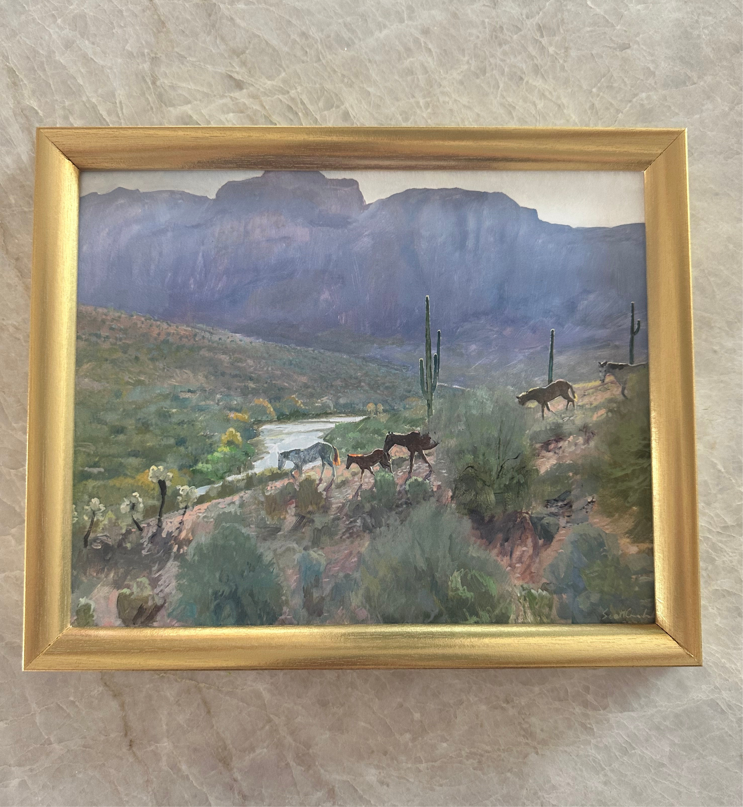 Down to the River Framed Print