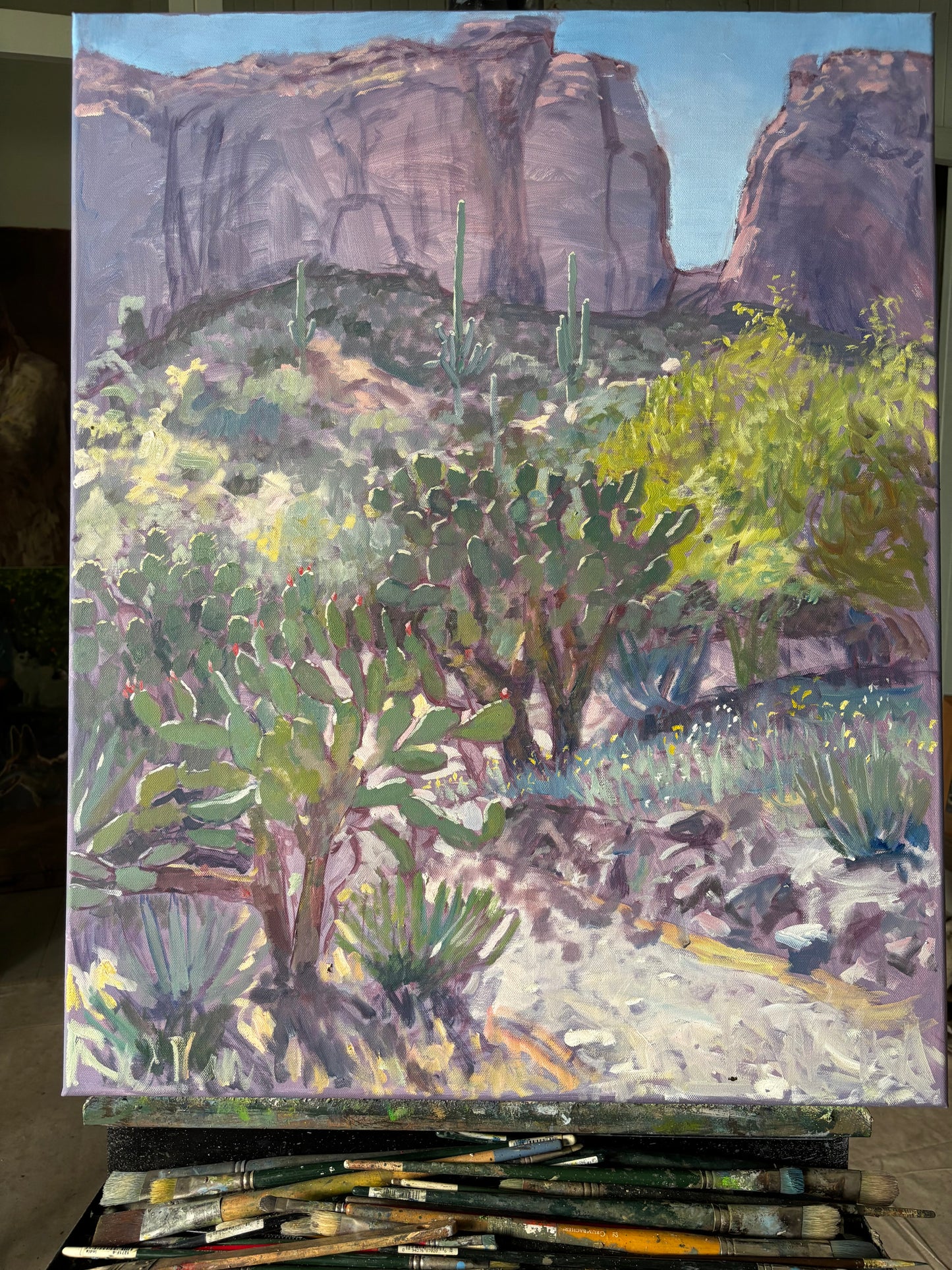 Desert Plants Must Find Their way Original Painting