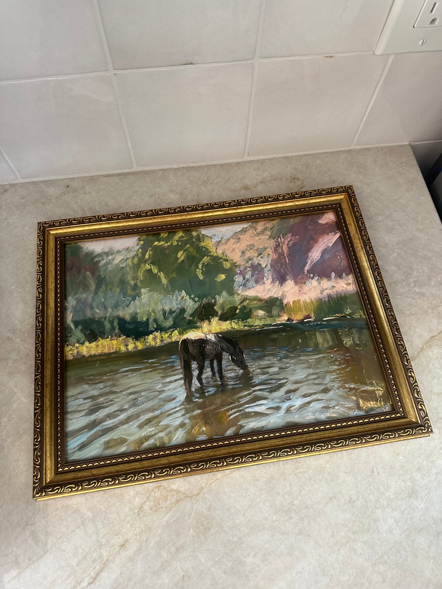 The Blue Roan Framed Print