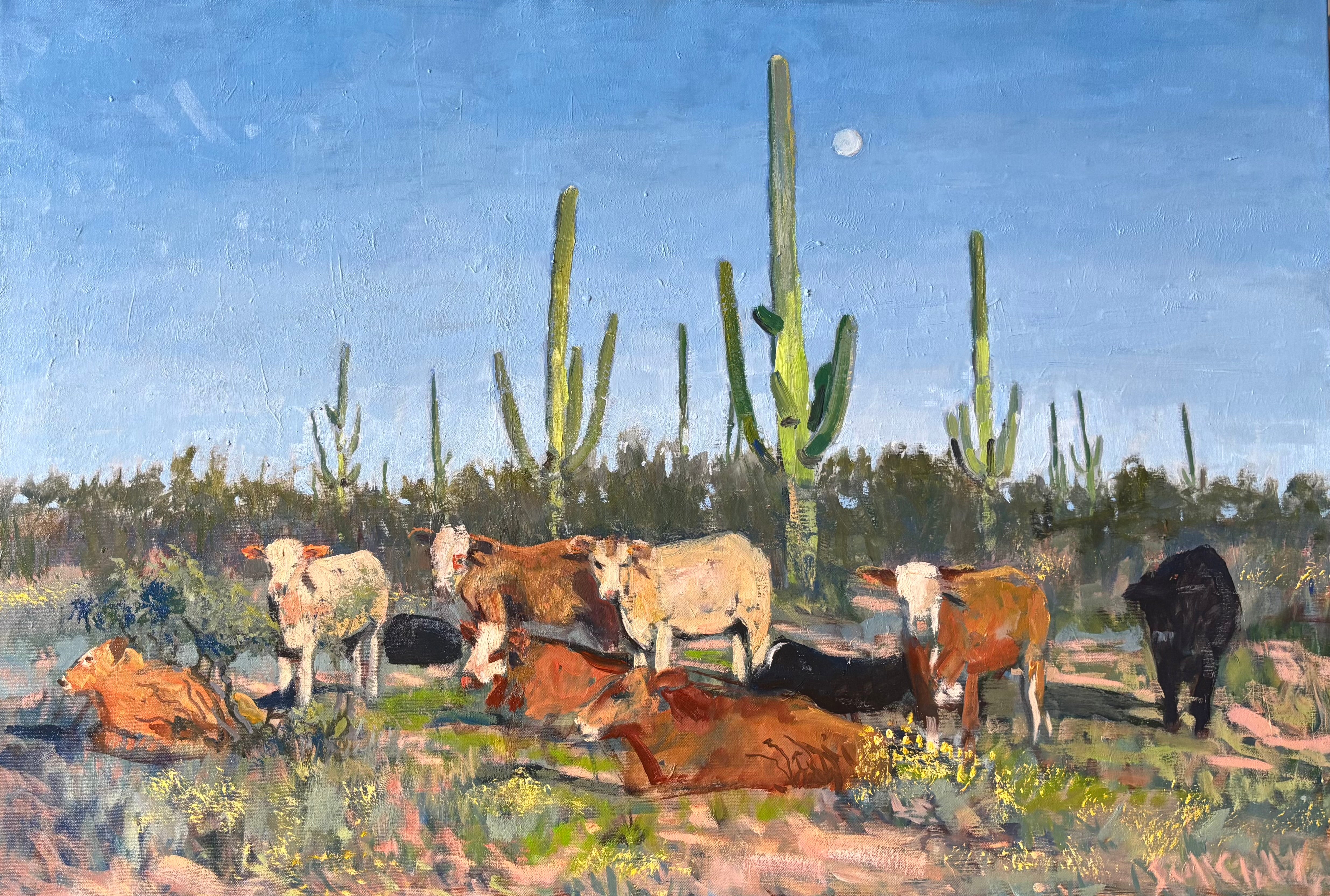 Sonoran Moonrise with Cattle