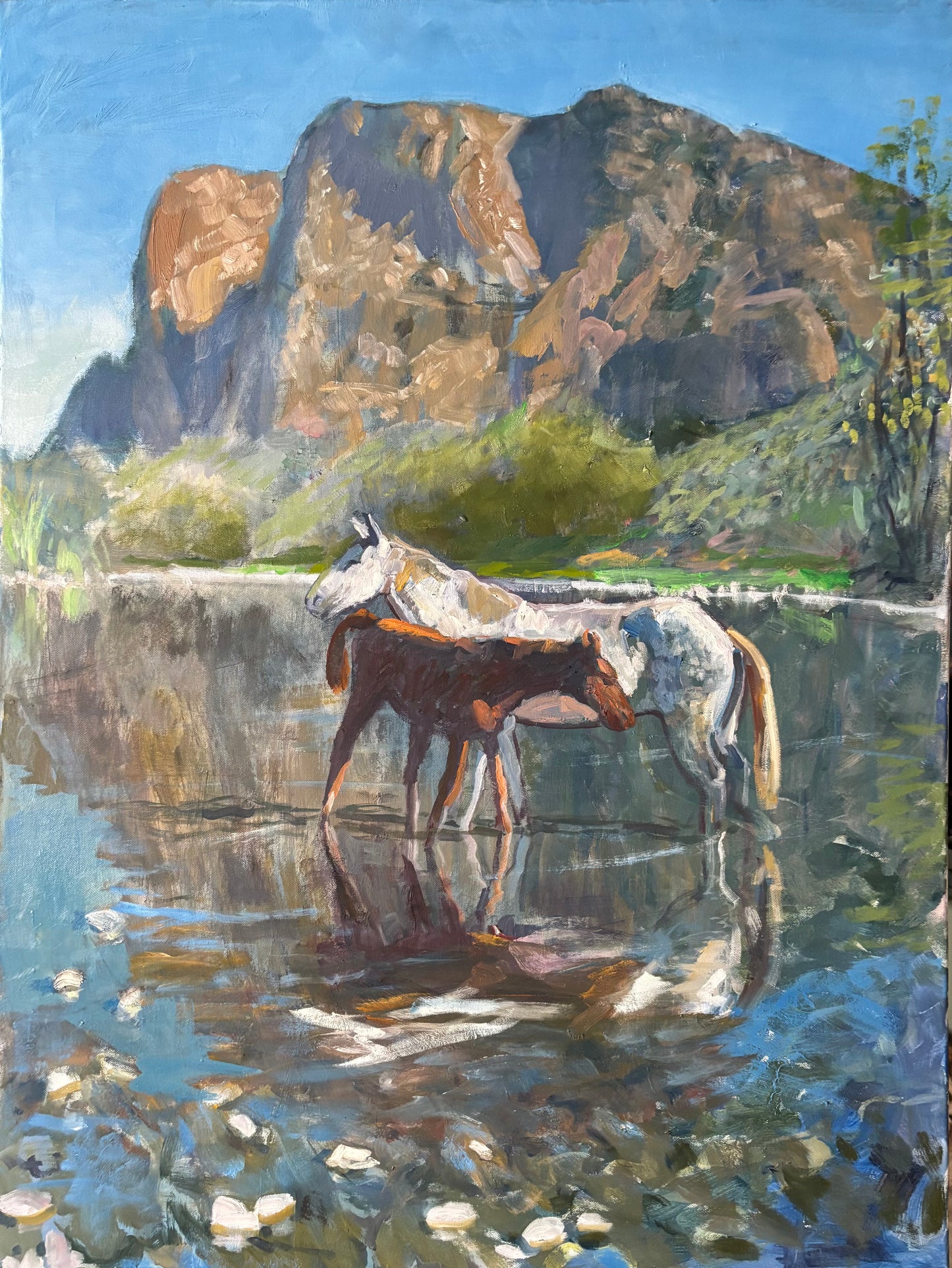 River Reflections Paper Print